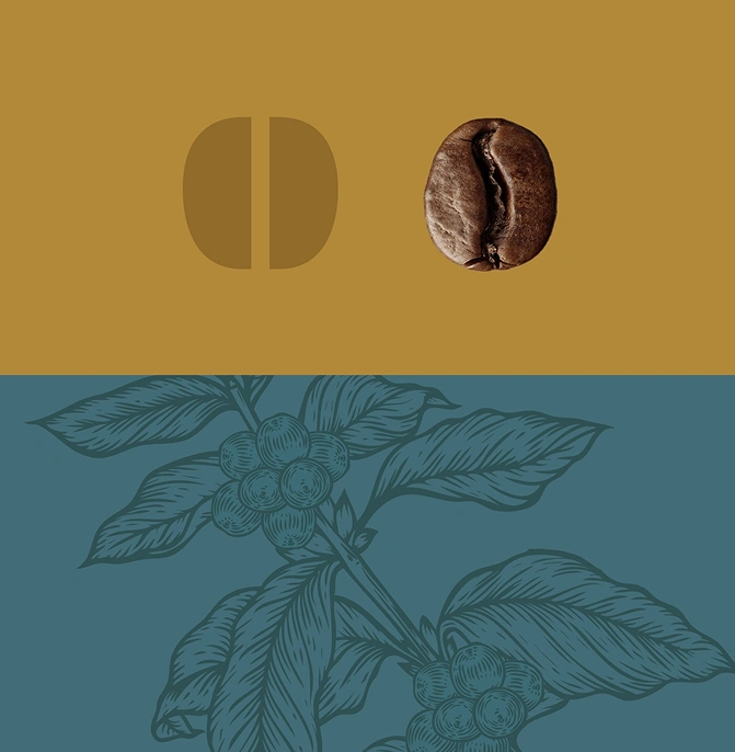 MAXIMO image 2